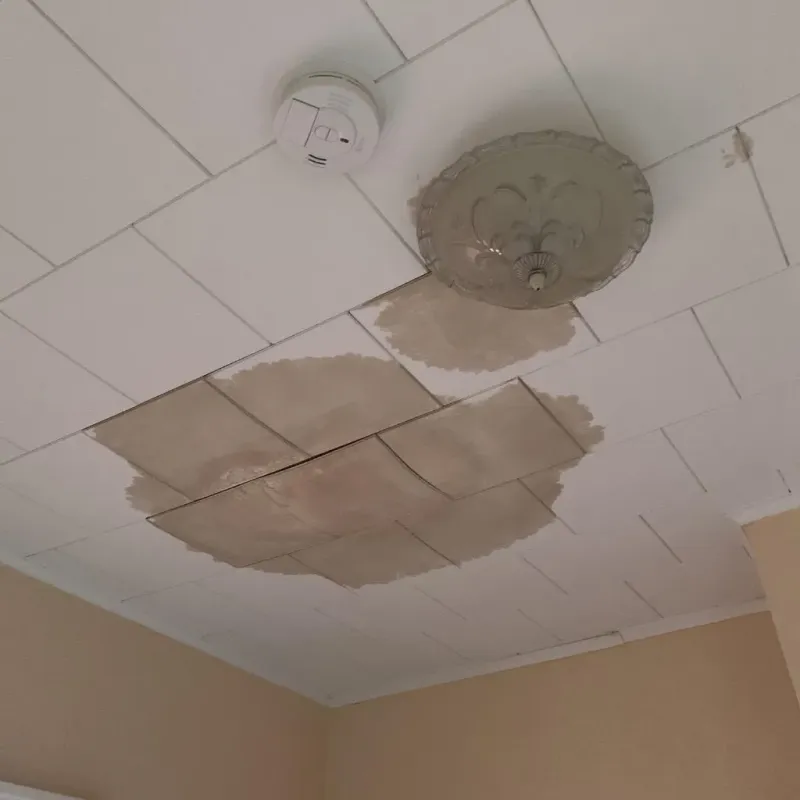 Ceiling Water Damage Repair in Denison, TX