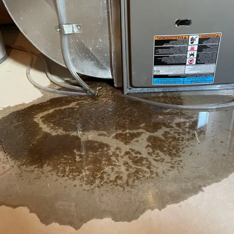 Pipe Burst and Leak Restoration in Denison, TX